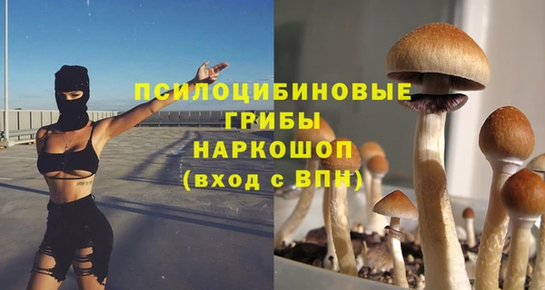 дурь Верхний Тагил