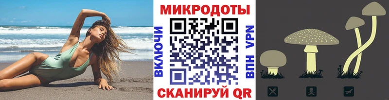 гидра маркетплейс  Первомайск  Галлюциногенные грибы Psilocybe 